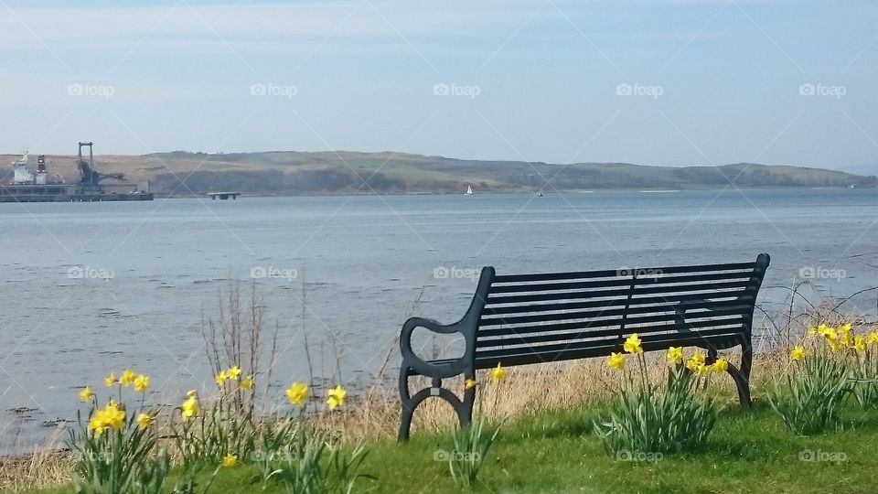 Sea view with memorial bench