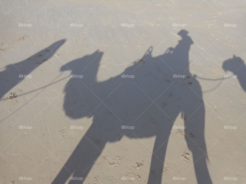 Shadow of riding a camel on the beach