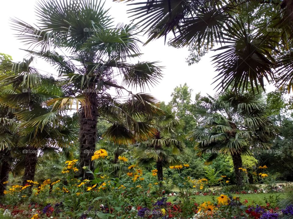 Die Flora in Köln bietet den Besuchern einen Blick in die wunderschöne Mutter Natur.