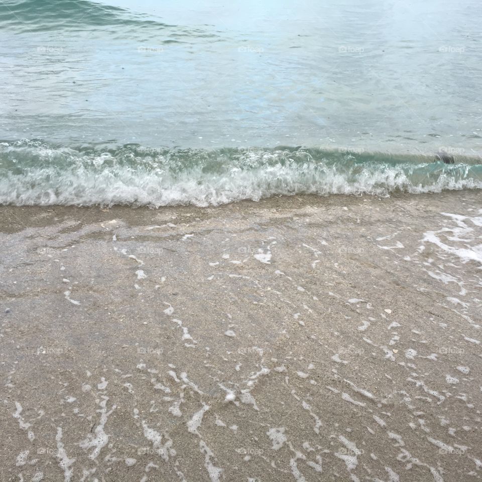 Miami beach surf 