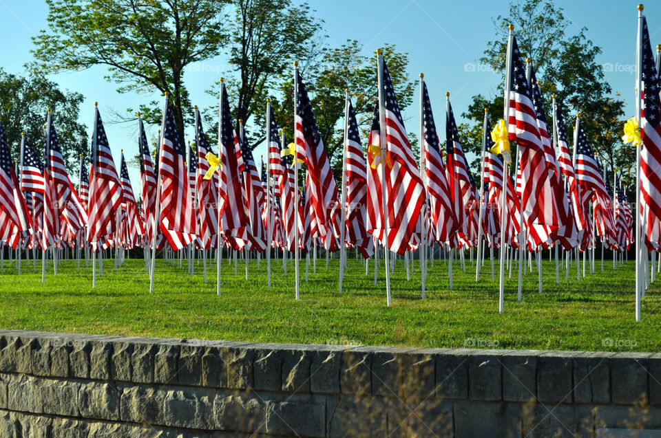 Flags