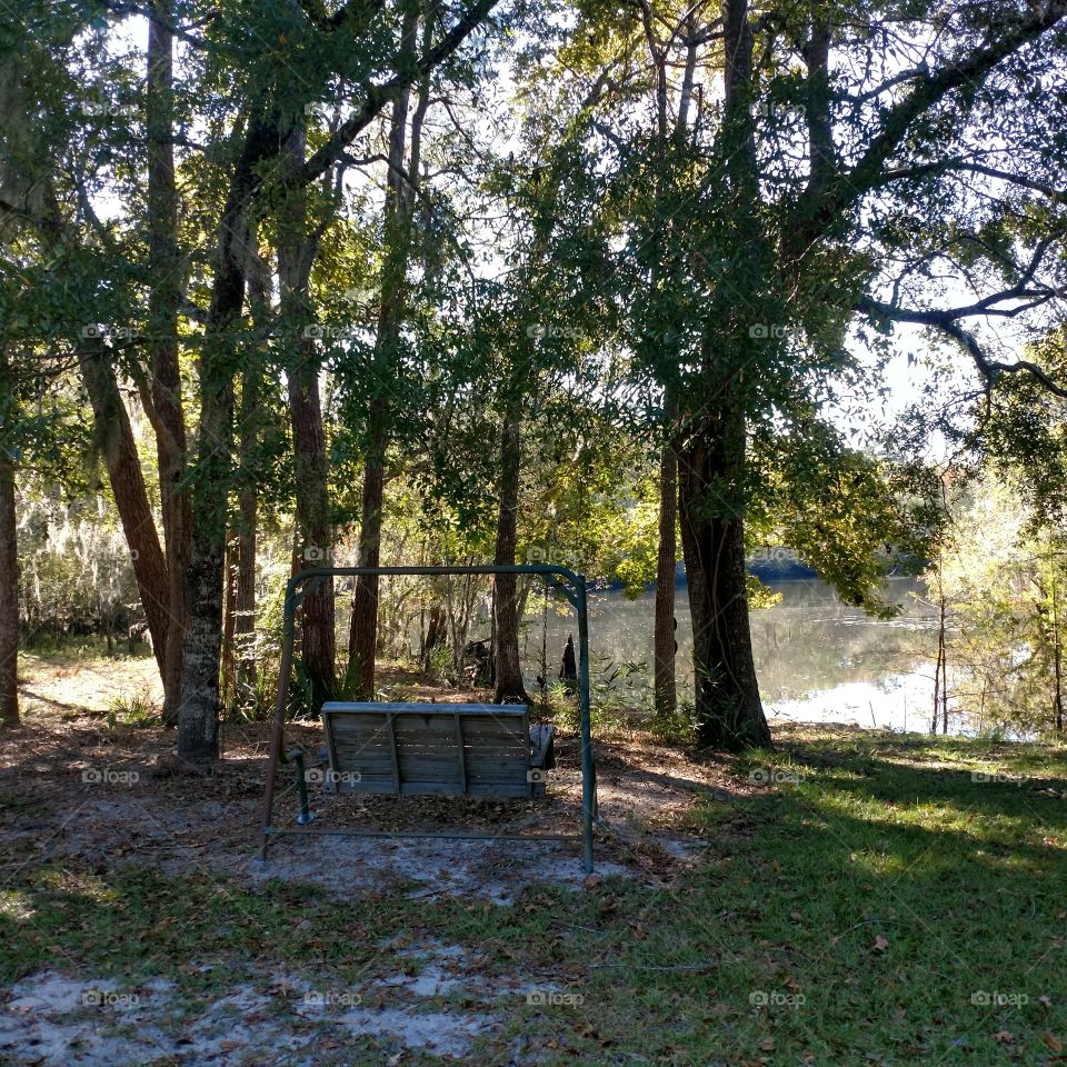 river, swing, peaceful, quiet, outdoors, nature, Cypress tree, river oak tree, perfect view