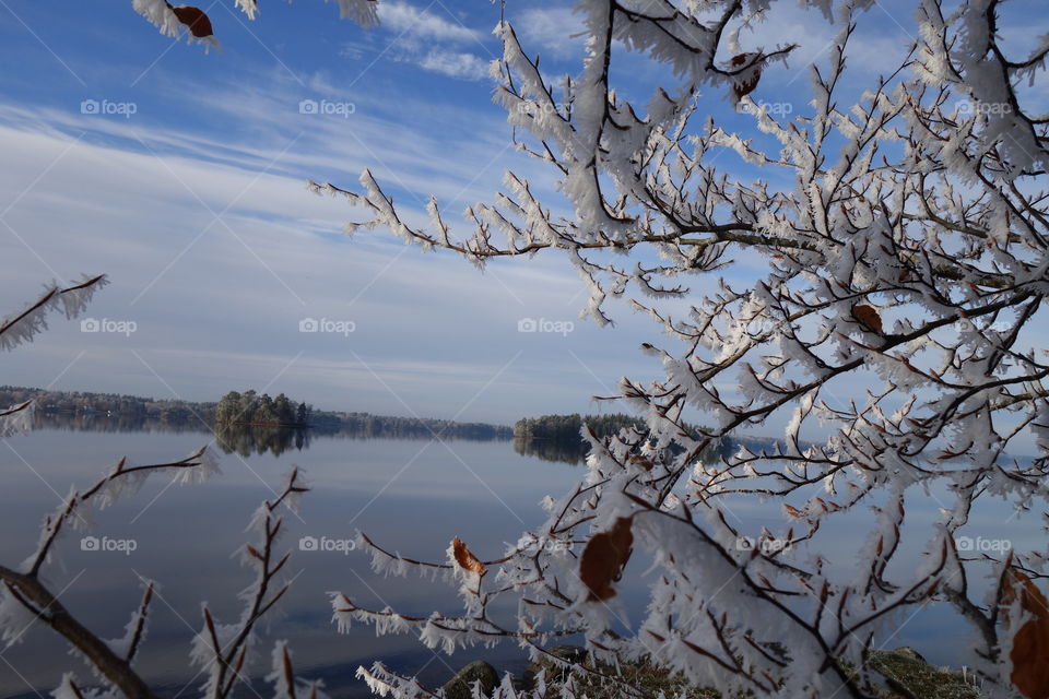 Scenic view in winter