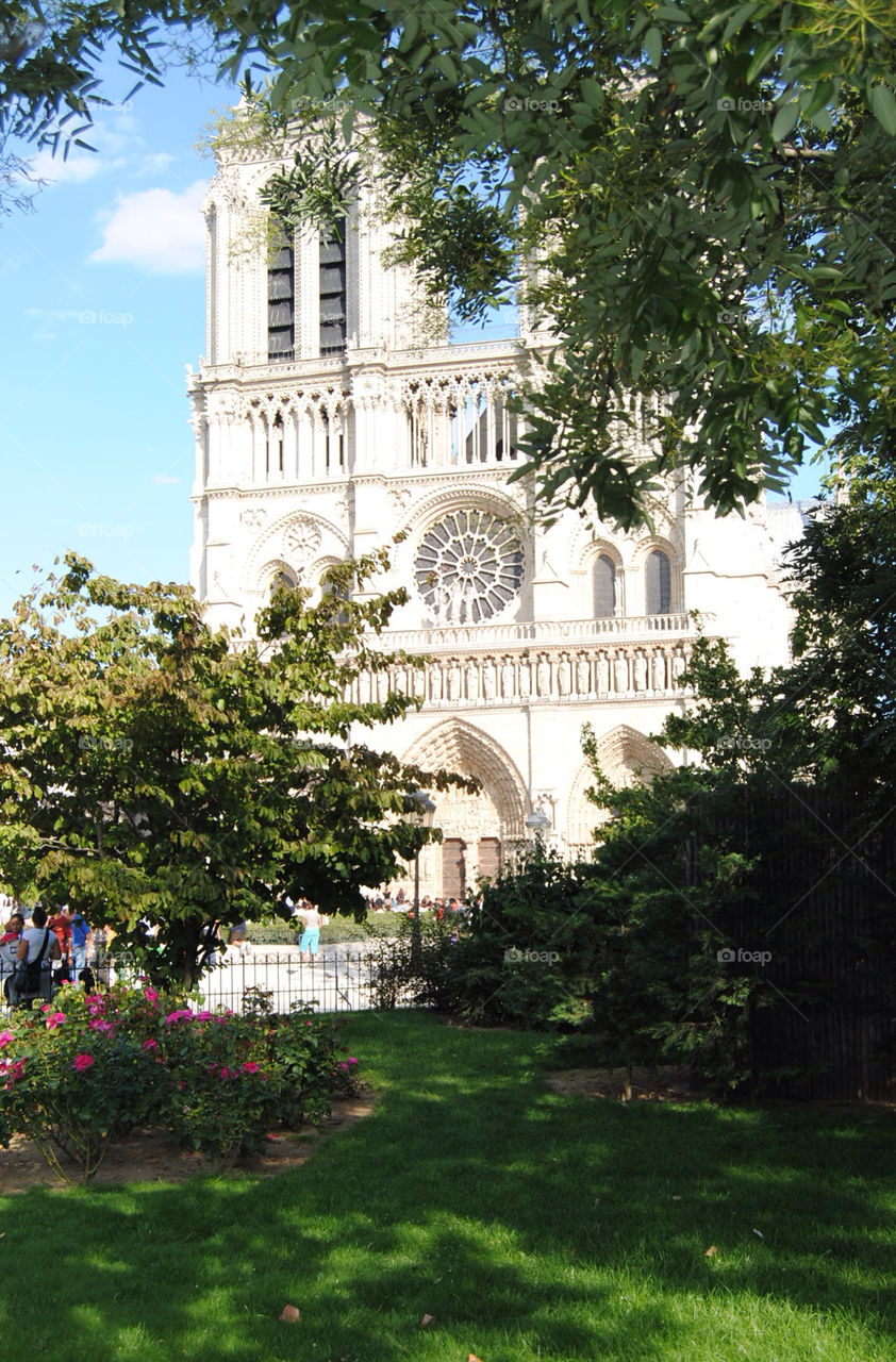 Notre Dame in Paris behind the trees