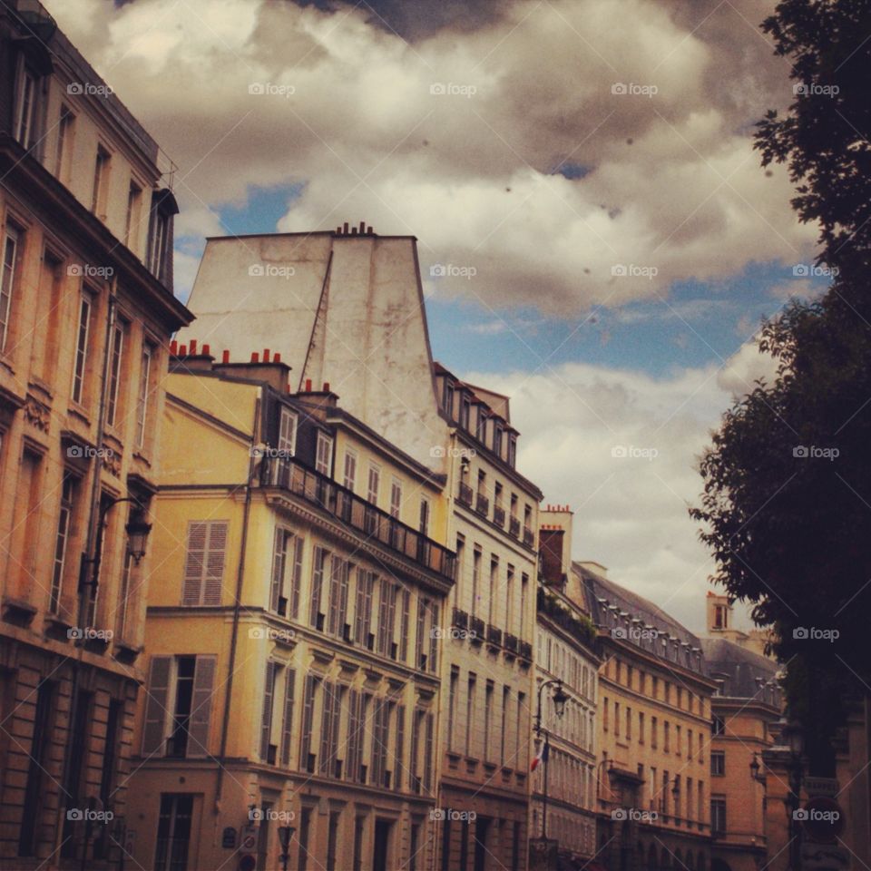 Parisian Street Dream 