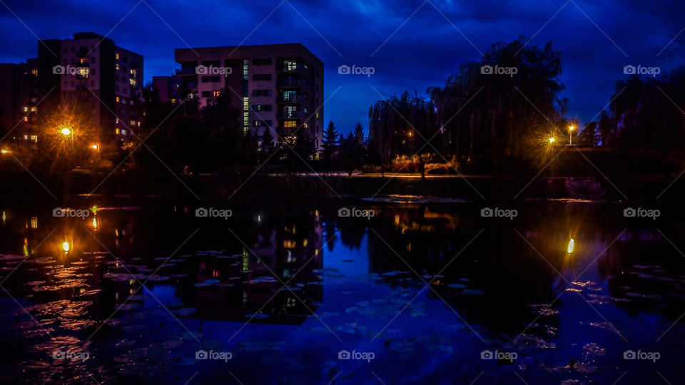 blue night over the lake