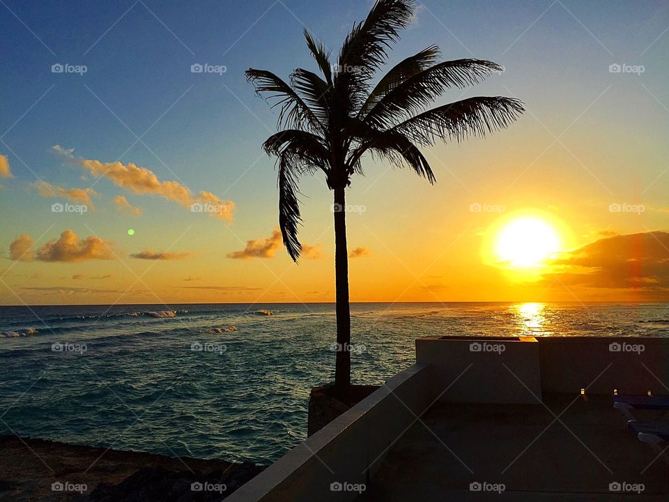 Sunset, Sun, Beach, Water, Dawn