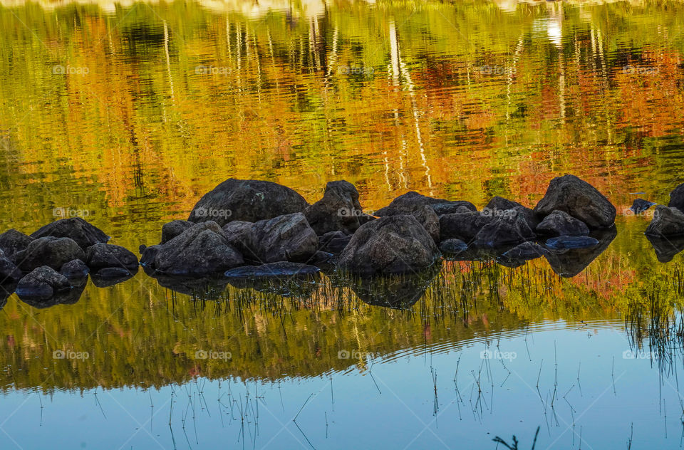 Moods of Autumn - fall leaf reflection 