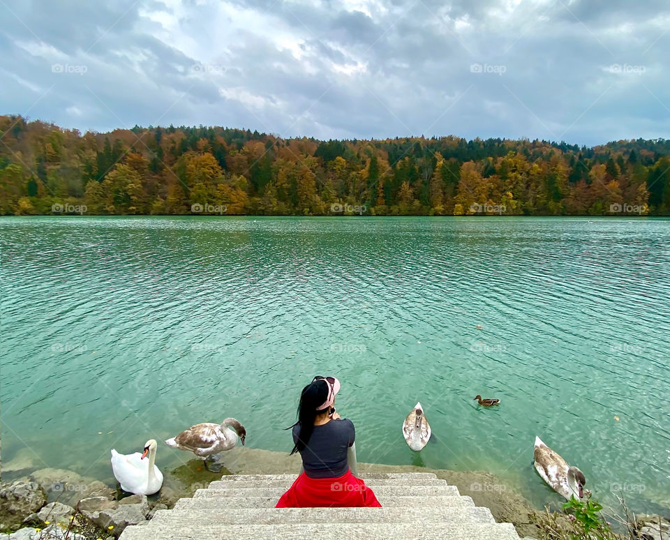 Woman sitting by lakeside surrounded by swans, enjoying peaceful nature scene