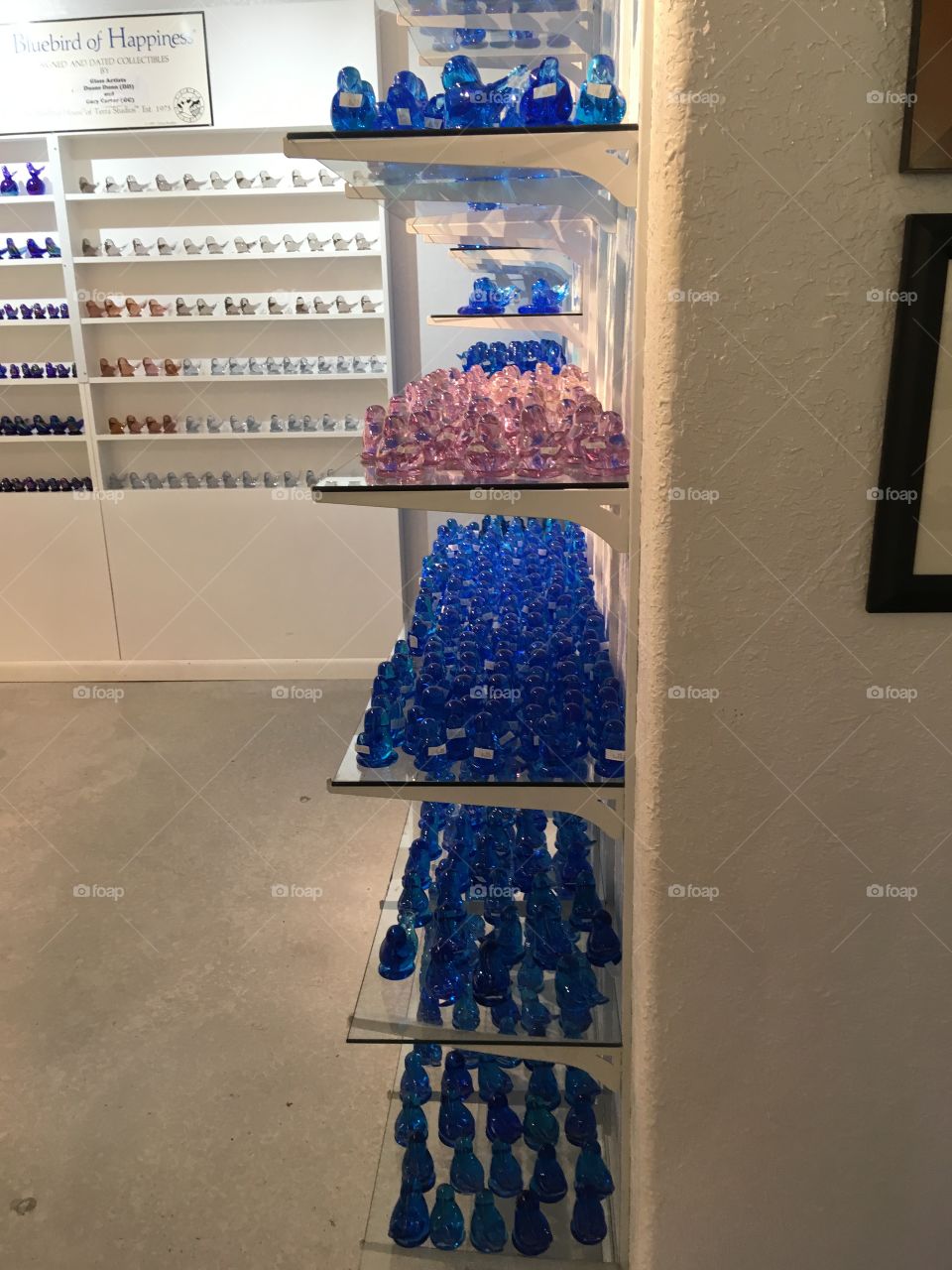 Lots and lots of glass birds! All different sizes and prices too. Such a colorful room.