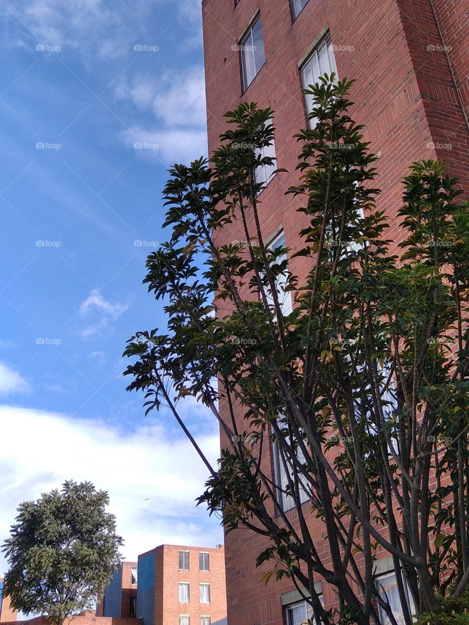 different perspective