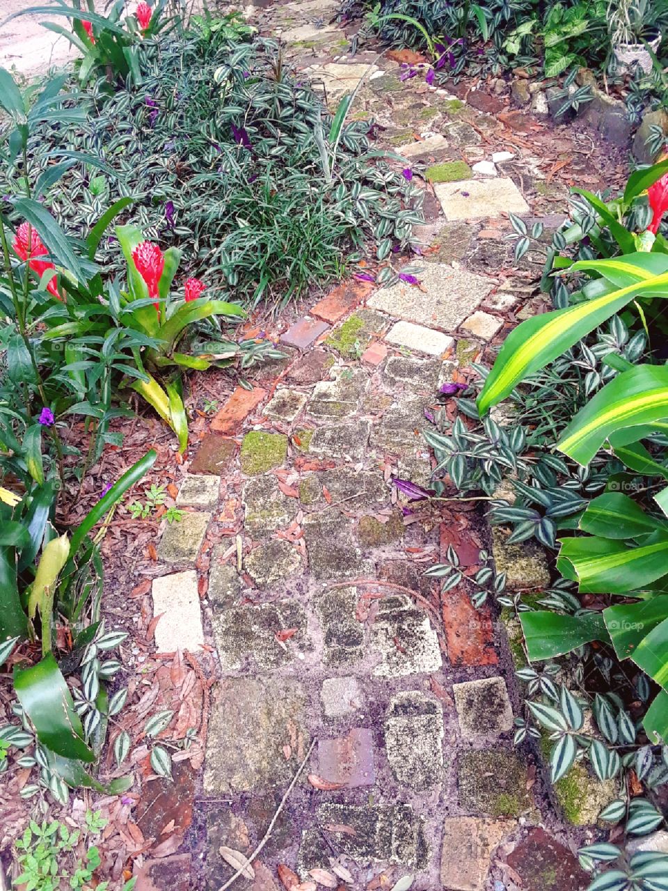 little brick path