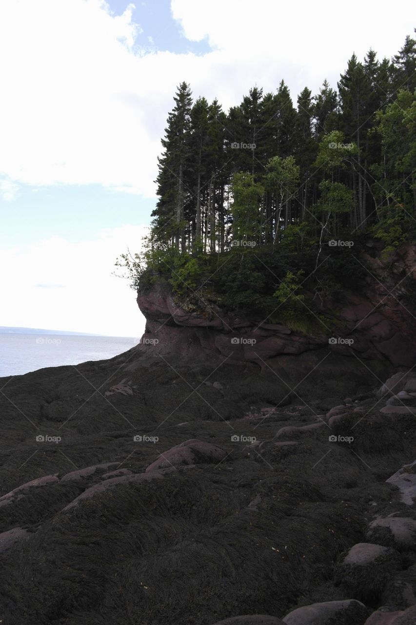 Herring Cove Beach 