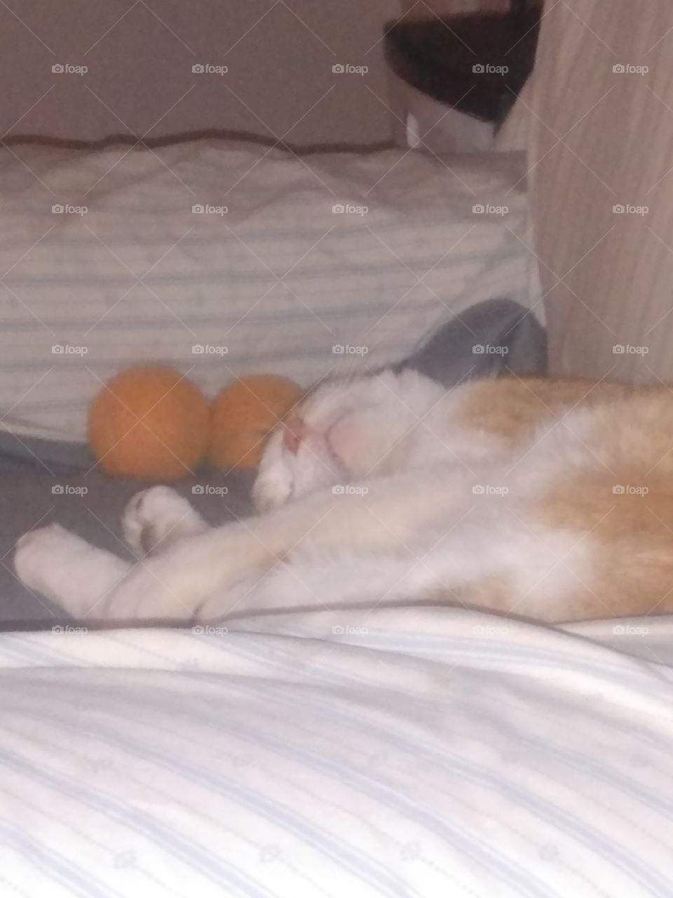 Good bye 2020! I don't know yet if I want to wake up for 2021i just might hibernate.