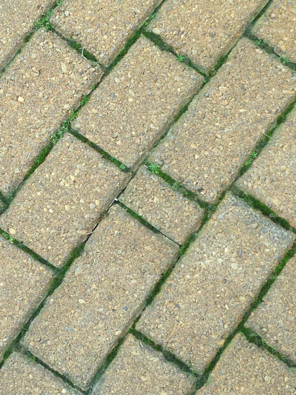 Brick pathway