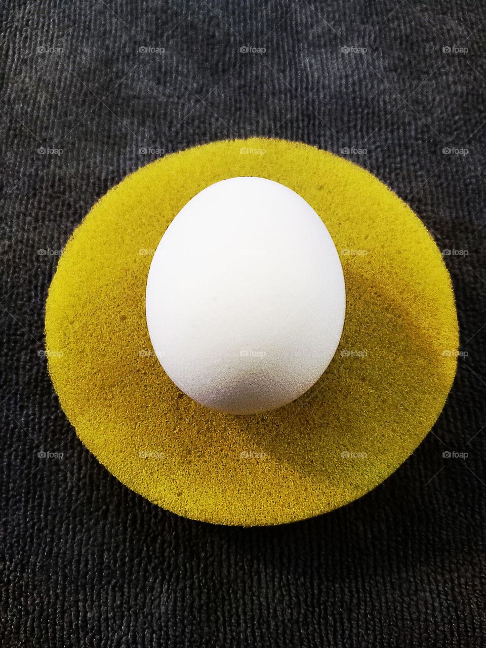 Egg