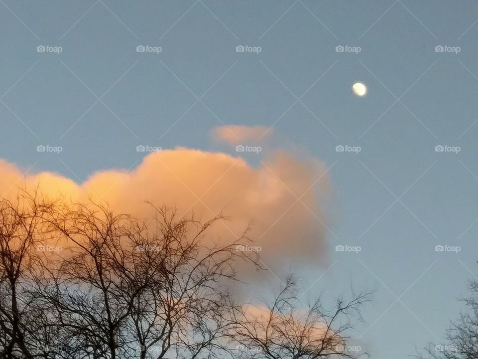 moon in early evening sky
