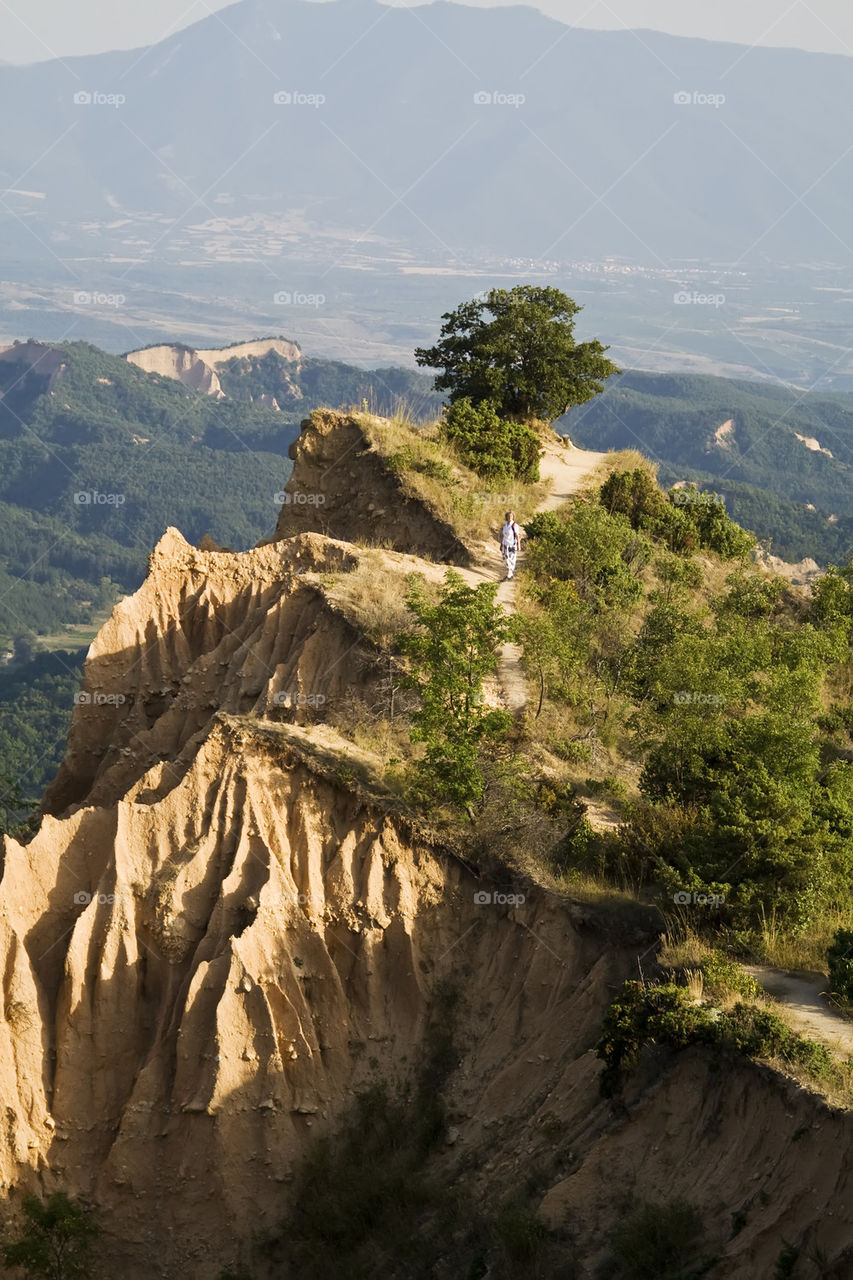 Cliff with tree