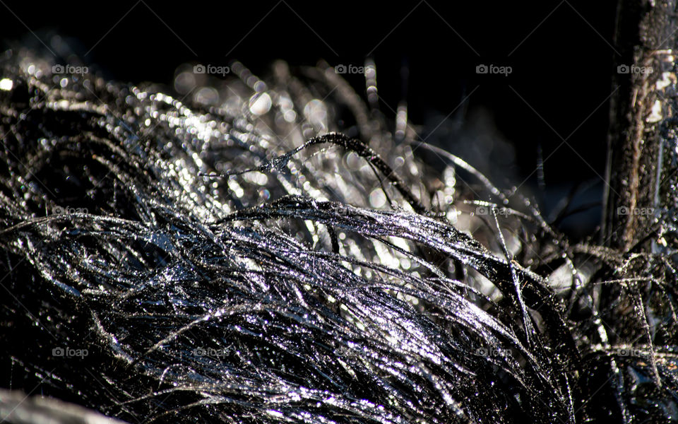 Tar on brush in sunlight full frame closeup  - roofing industry or environmental awareness background photography 