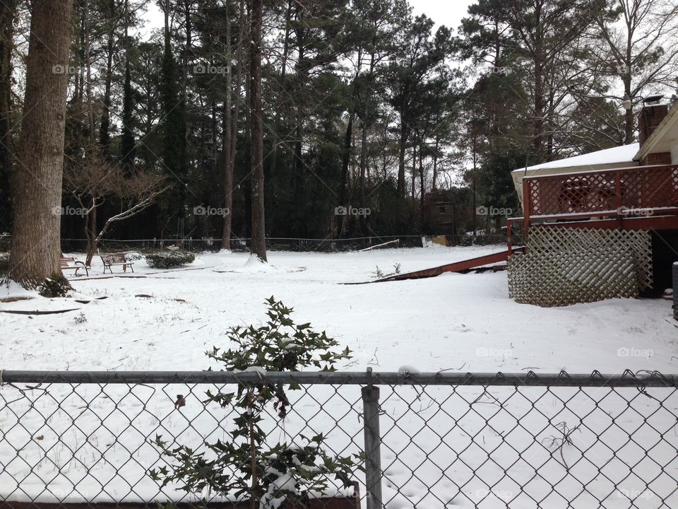A snowy backyard.