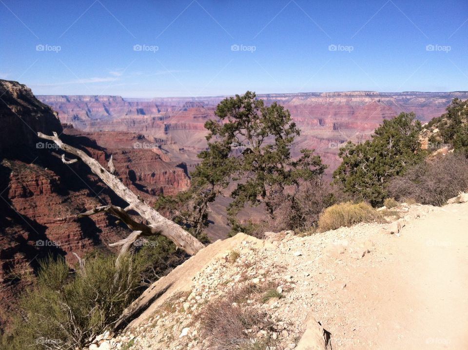 Hiking to the base of the Grand Canyon in Arizona