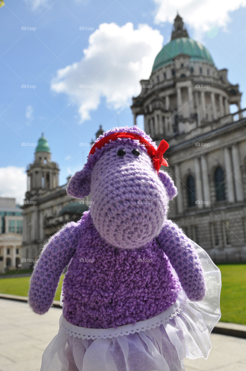 violet sheep in Belfast. travelling