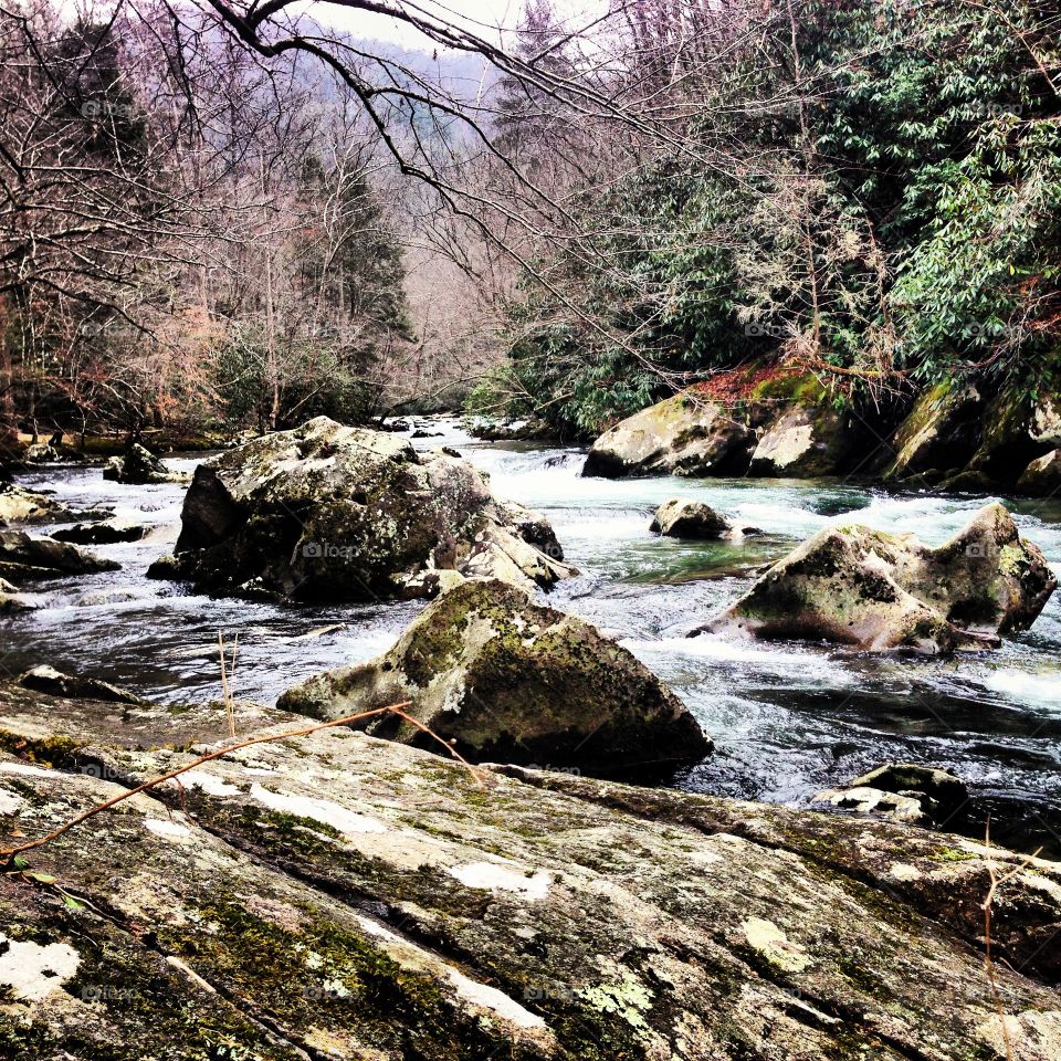Water, Nature, Stream, River, Landscape