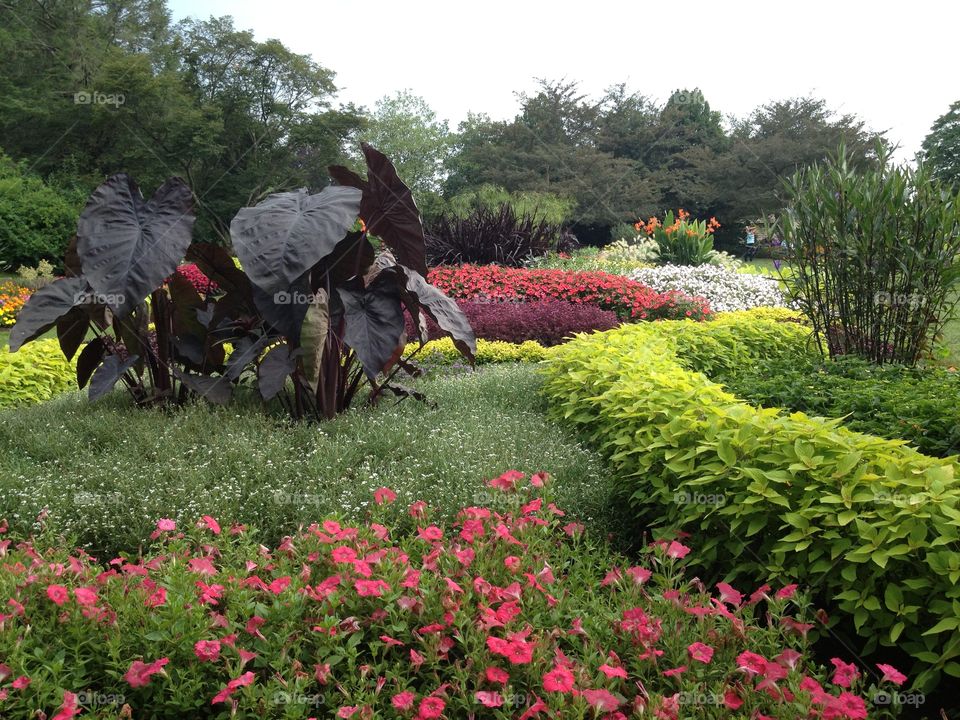 A walk in the gardens