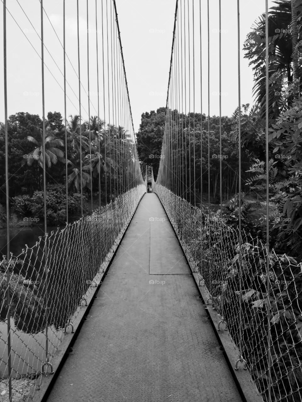 The bridge where perspective meets beauty