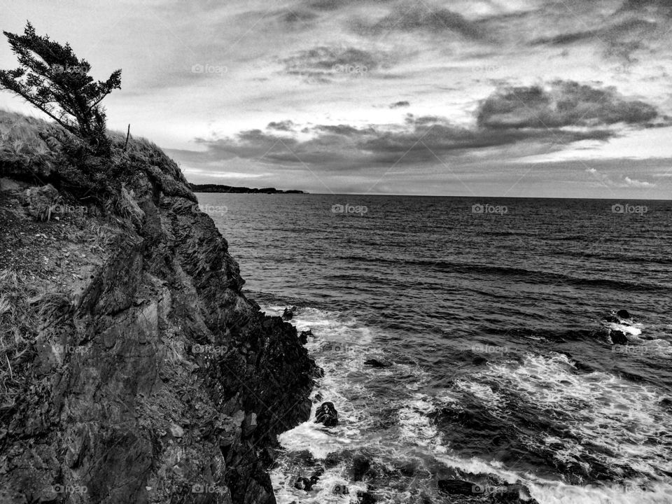 Black and white Alaska Landscape. Black and white Alaska Landscape