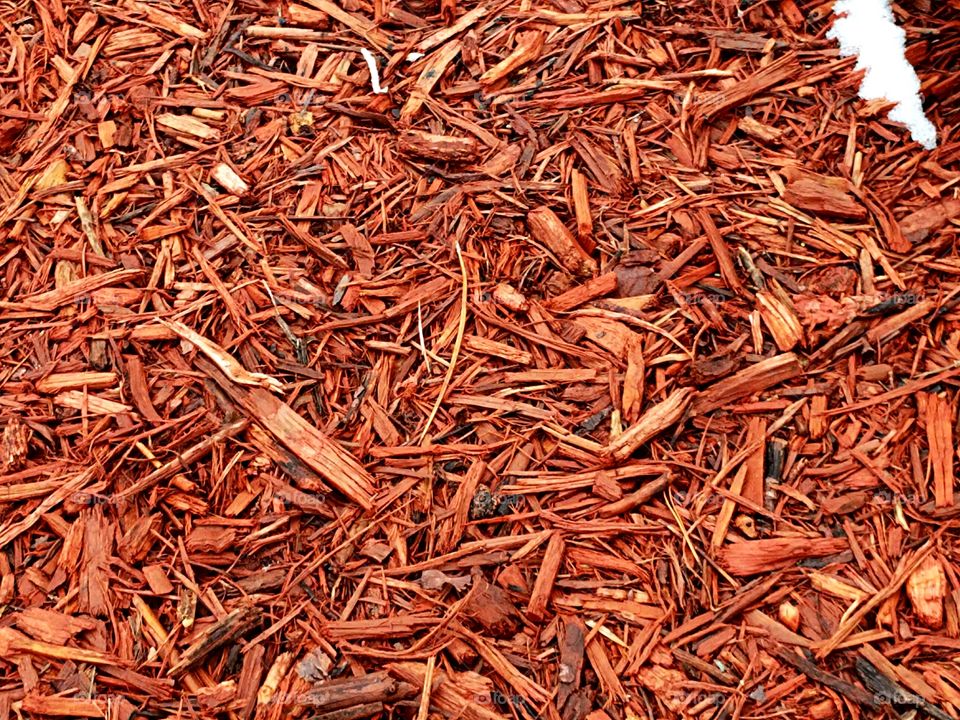 Red Wood Chips