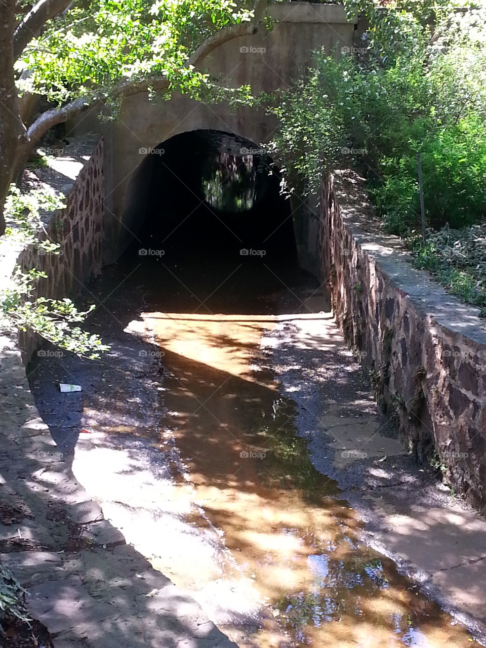 the tunnel