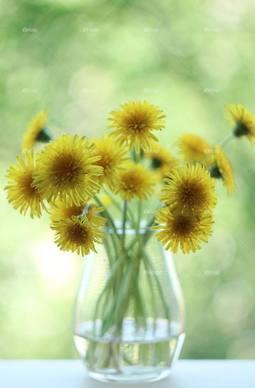 A bouquet of yellow dandelions in a transparent vase