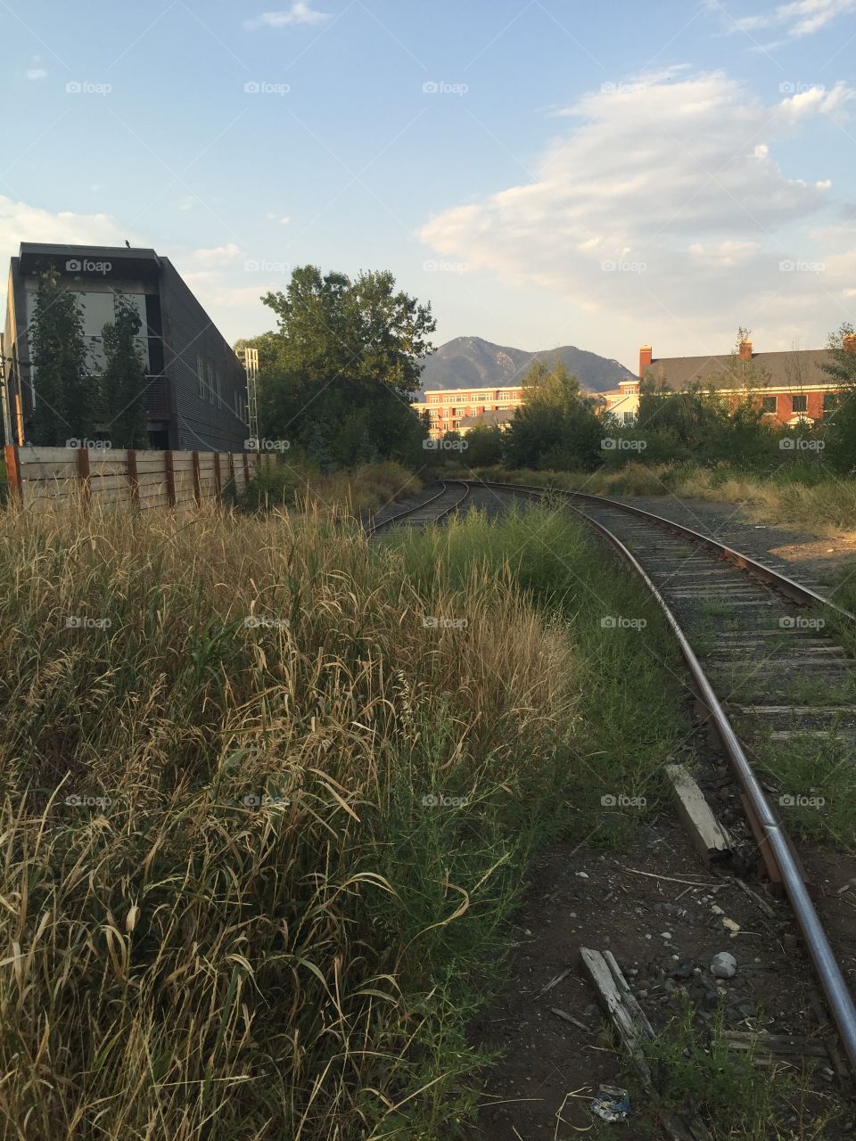 Railway, Locomotive, Track, No Person, Landscape