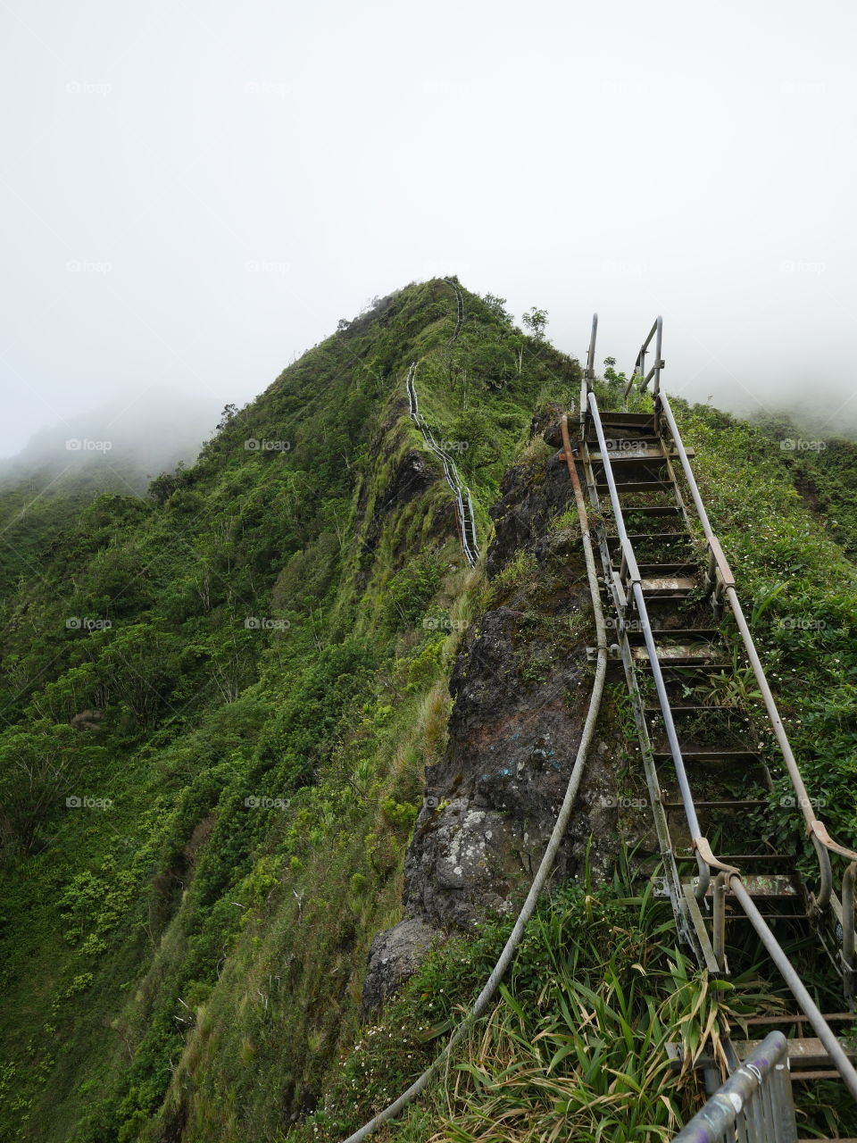 Old abandoned war war 2 staircase on the ridge to the top of the Hawaiian green tropical mountain above the clouds 