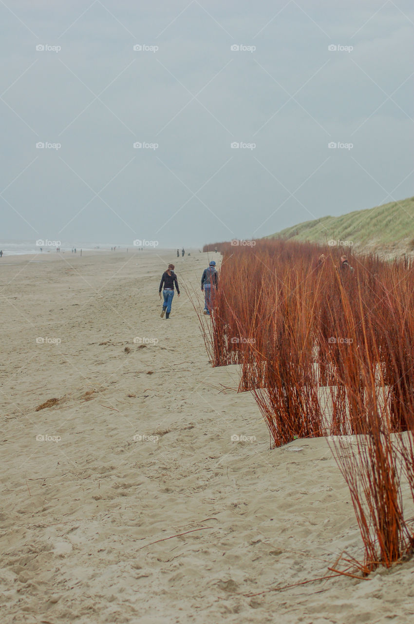 People At The Beach Of Texel The Netherlands