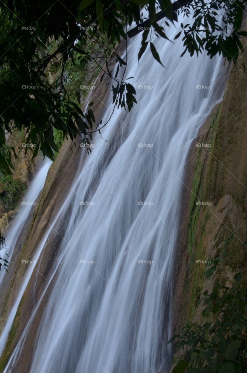 Waterfall, Nature, Wood, Water, Tree