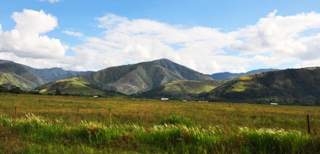 The valley