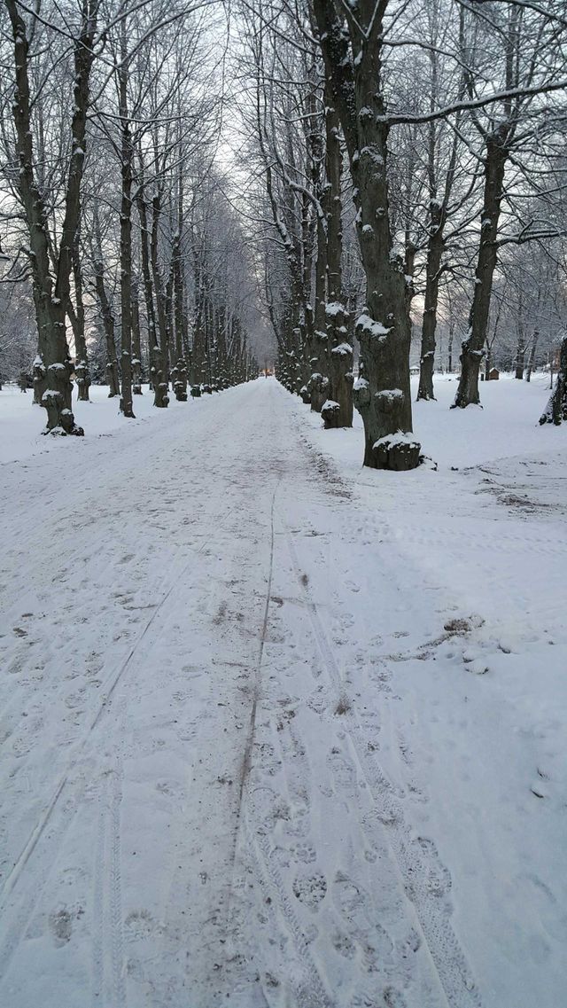 walk way