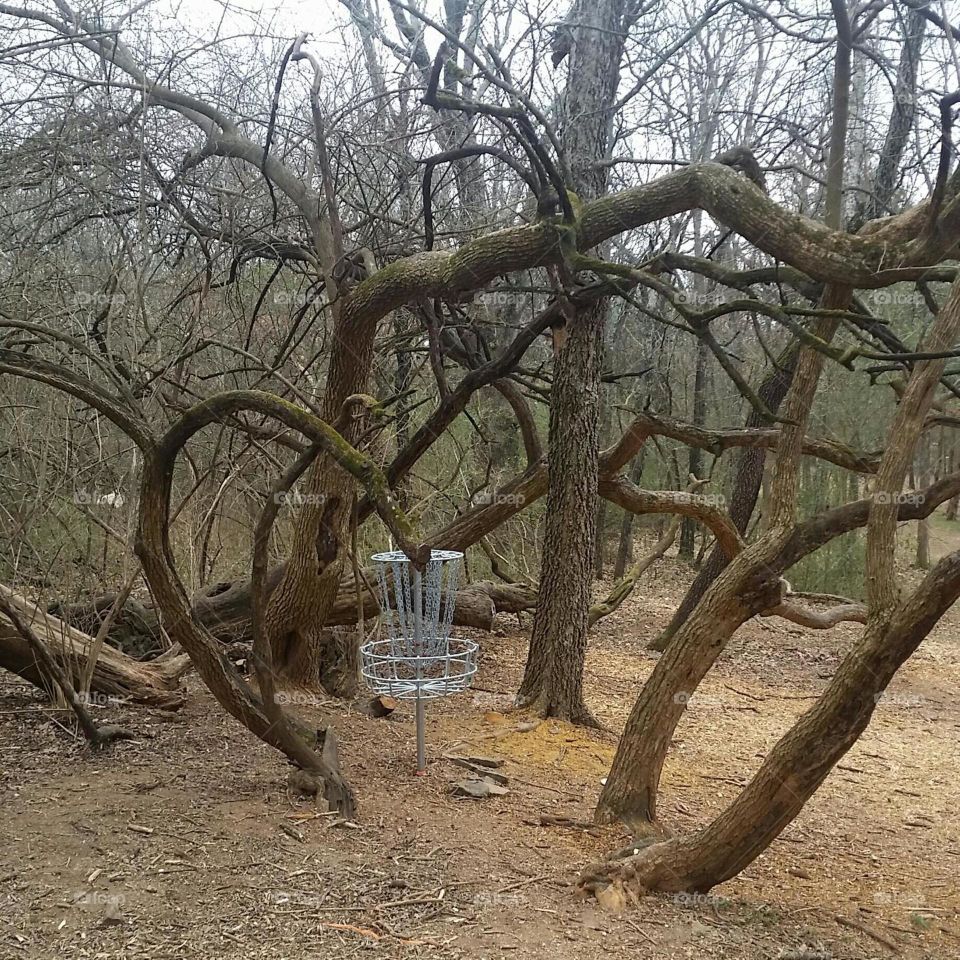 Waxhaw Disk Golf