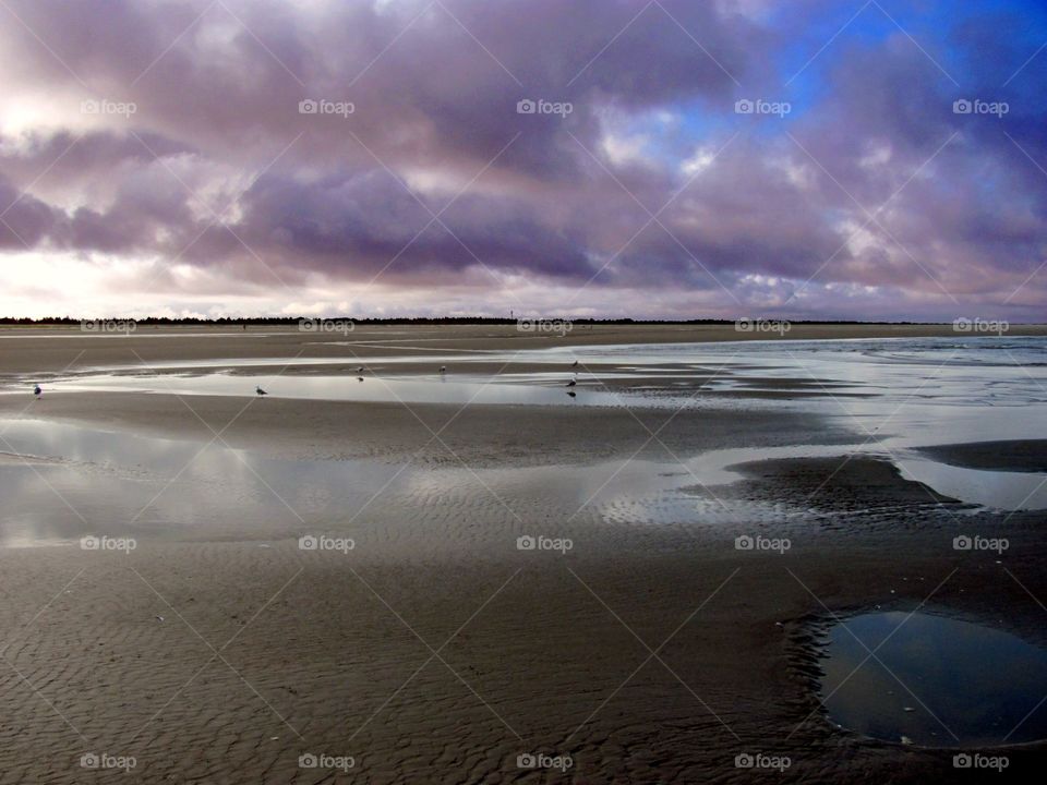 Purple tint in ocean clouds at low tide