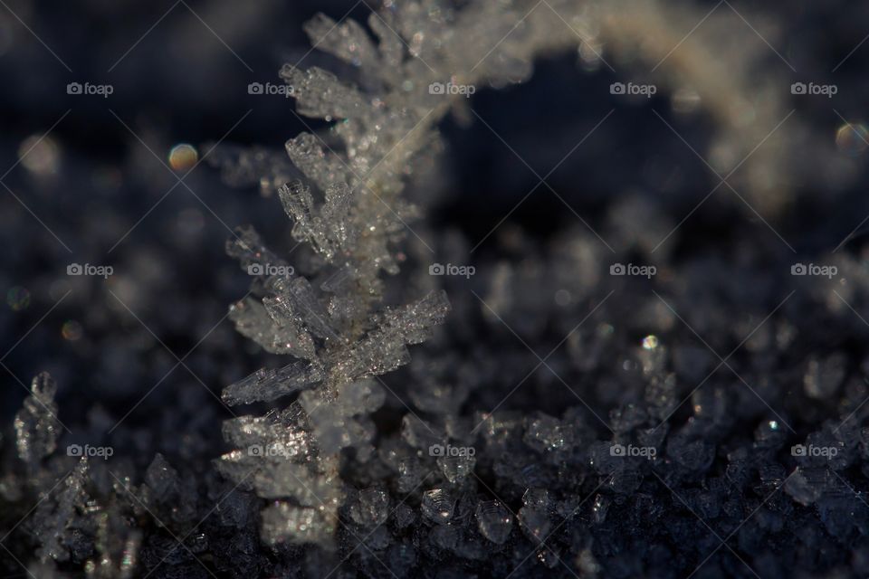 Frozen water crystals