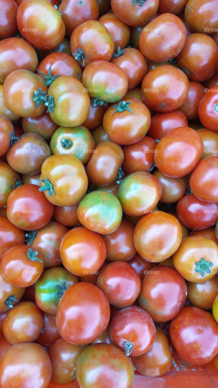 Red tomatoes