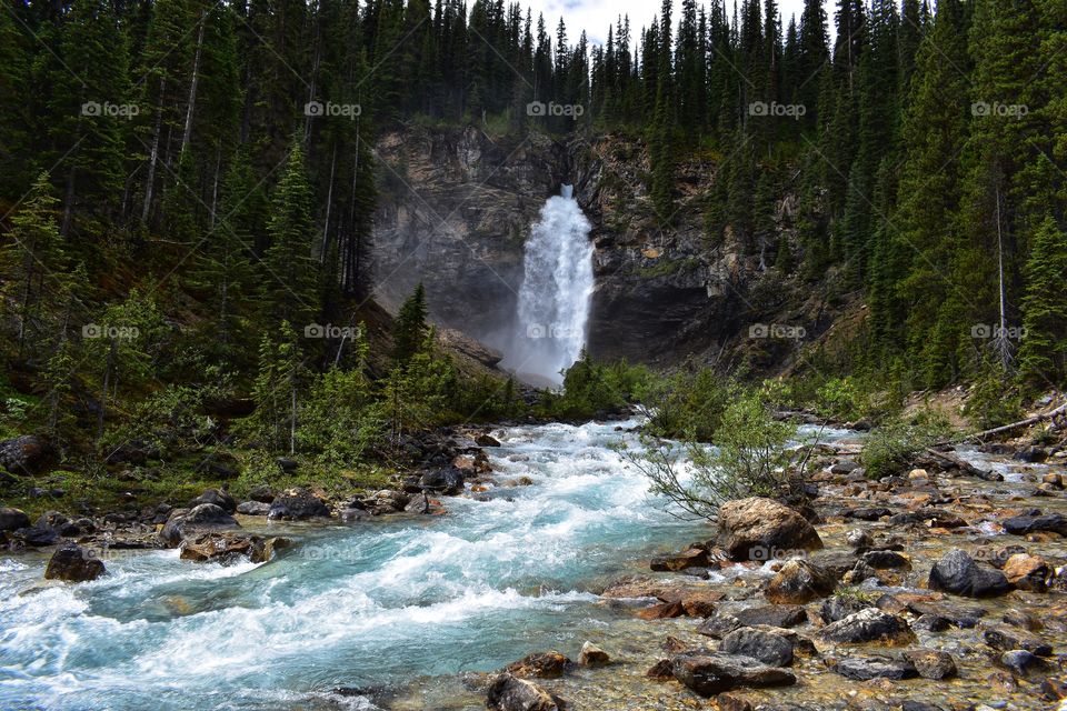 YOHO (National Park) translates to “to be in awe” in the local Cree Nation language, which seems fitting as the hike out to Laughing Falls was awe-inspiring. 