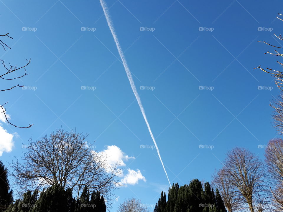 Smoke line of a plane across a bright blue sky with a few trees in the foreground during spring.