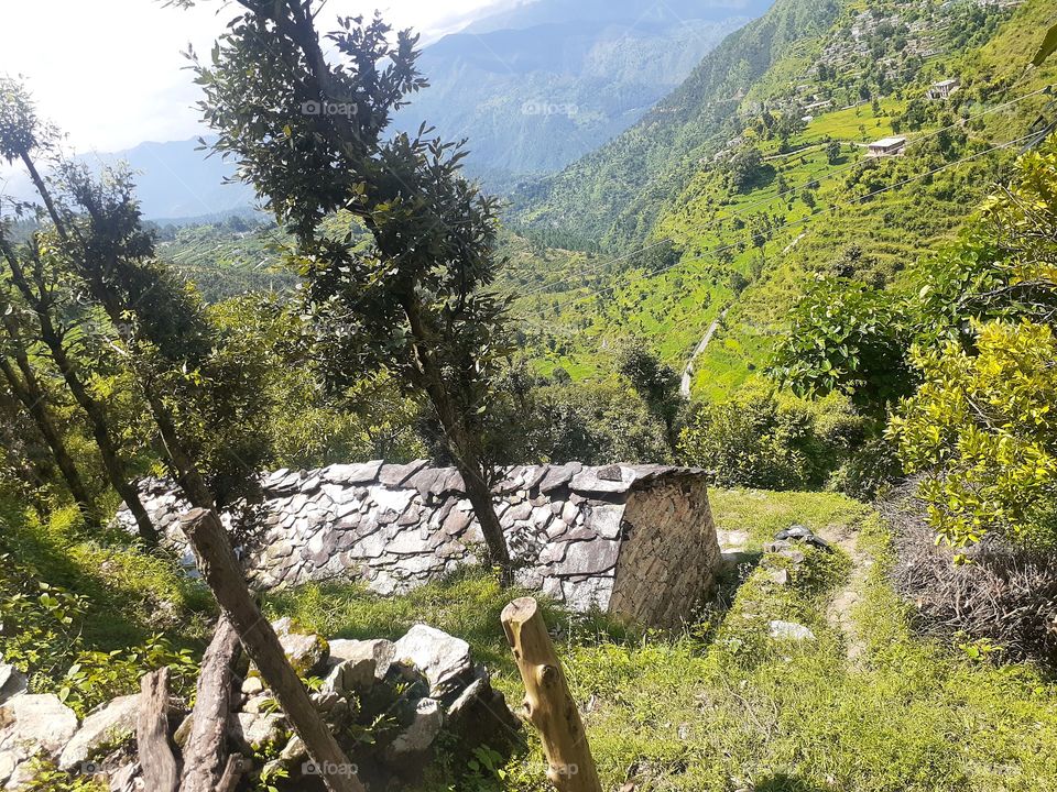 uttrakhand goshala view