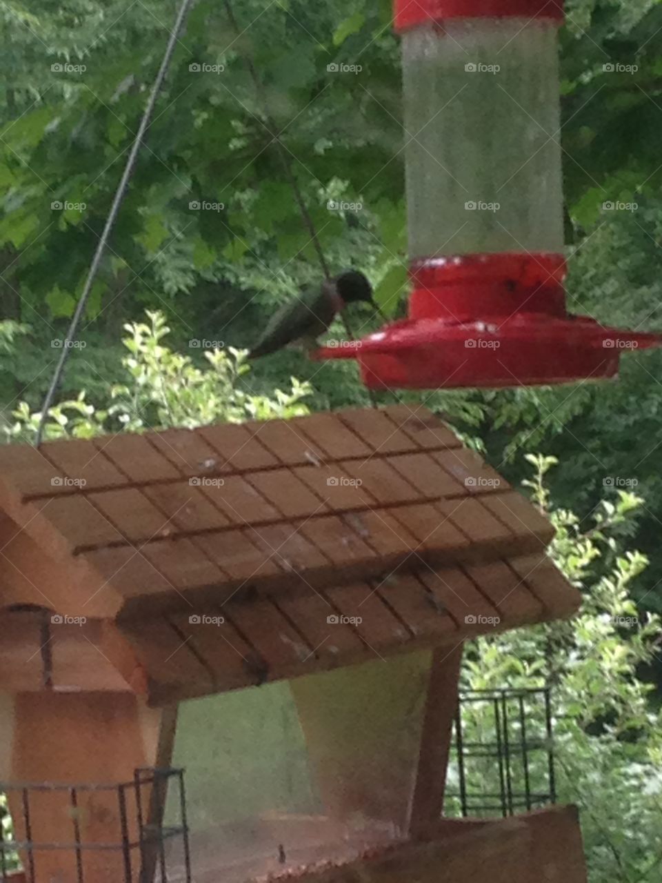 Flying . Looking out window 