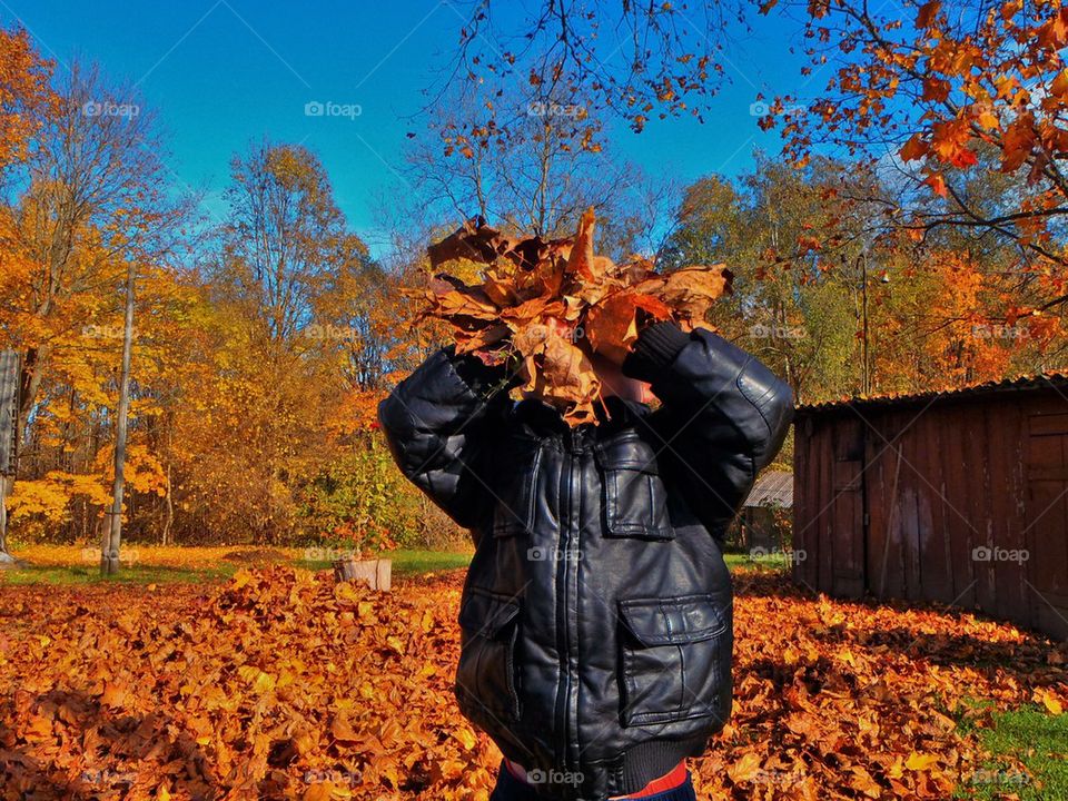 Definition of autumn