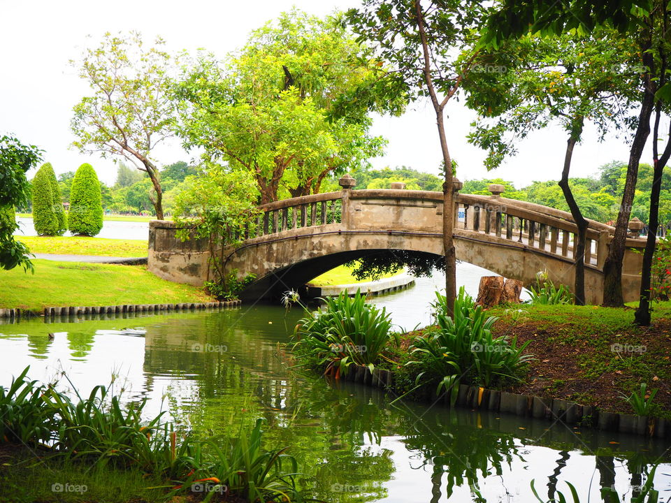 old bridge and lake in the park