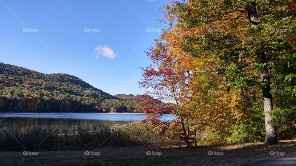 Moreau Lake